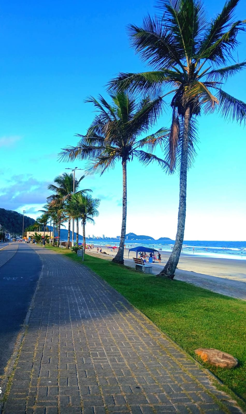 Calçadão com palmeiras na beira-mar de Guaratuba